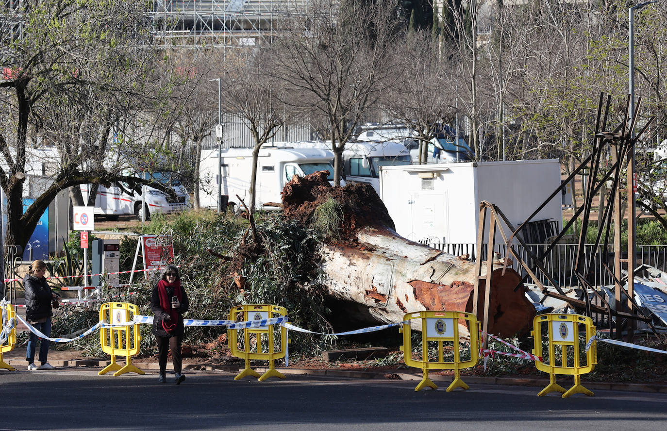 Fotos: operarios intentan recomponer el paisaje urbano de Córdoba tras el tornado