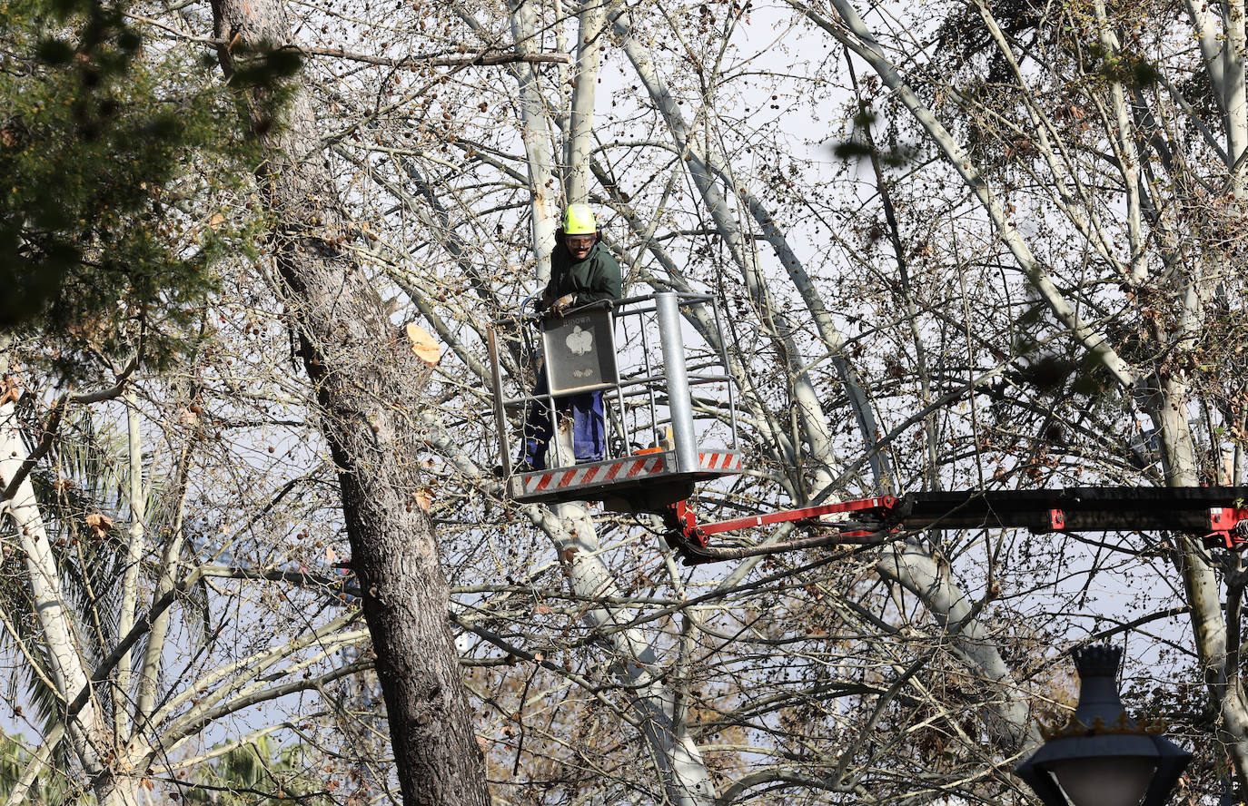 Fotos: operarios intentan recomponer el paisaje urbano de Córdoba tras el tornado