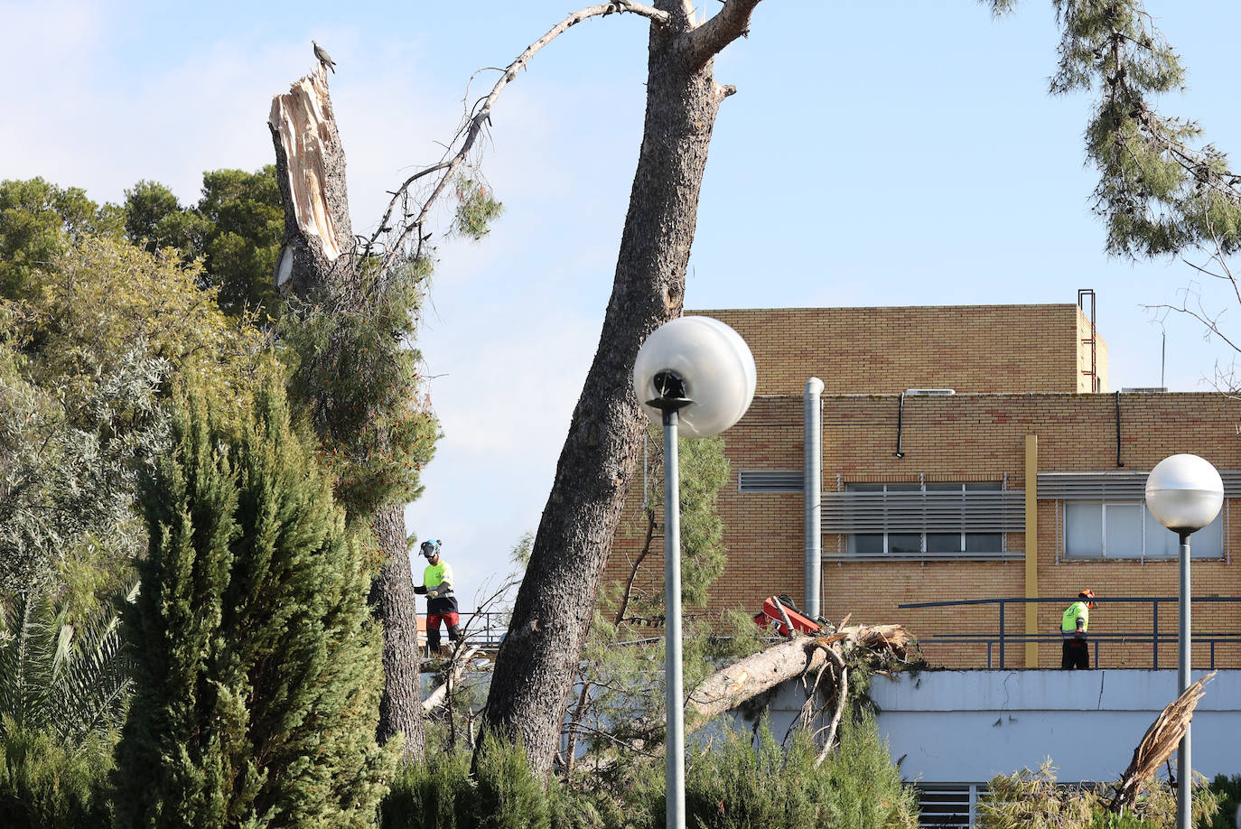 Fotos: operarios intentan recomponer el paisaje urbano de Córdoba tras el tornado