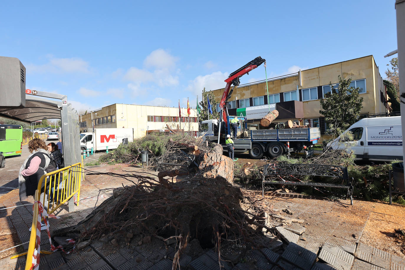 Fotos: operarios intentan recomponer el paisaje urbano de Córdoba tras el tornado
