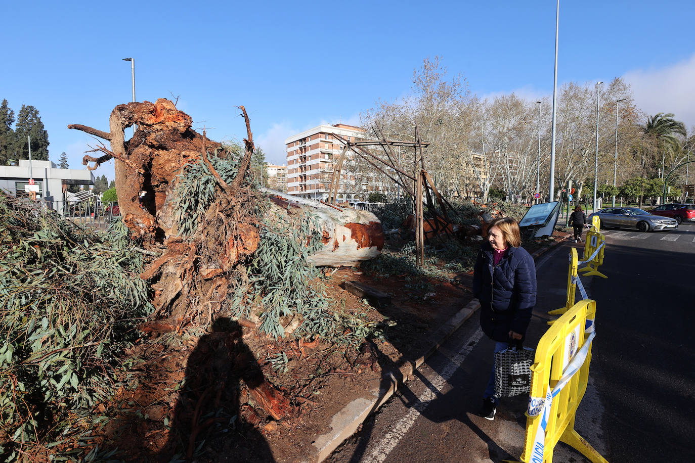 Fotos: operarios intentan recomponer el paisaje urbano de Córdoba tras el tornado