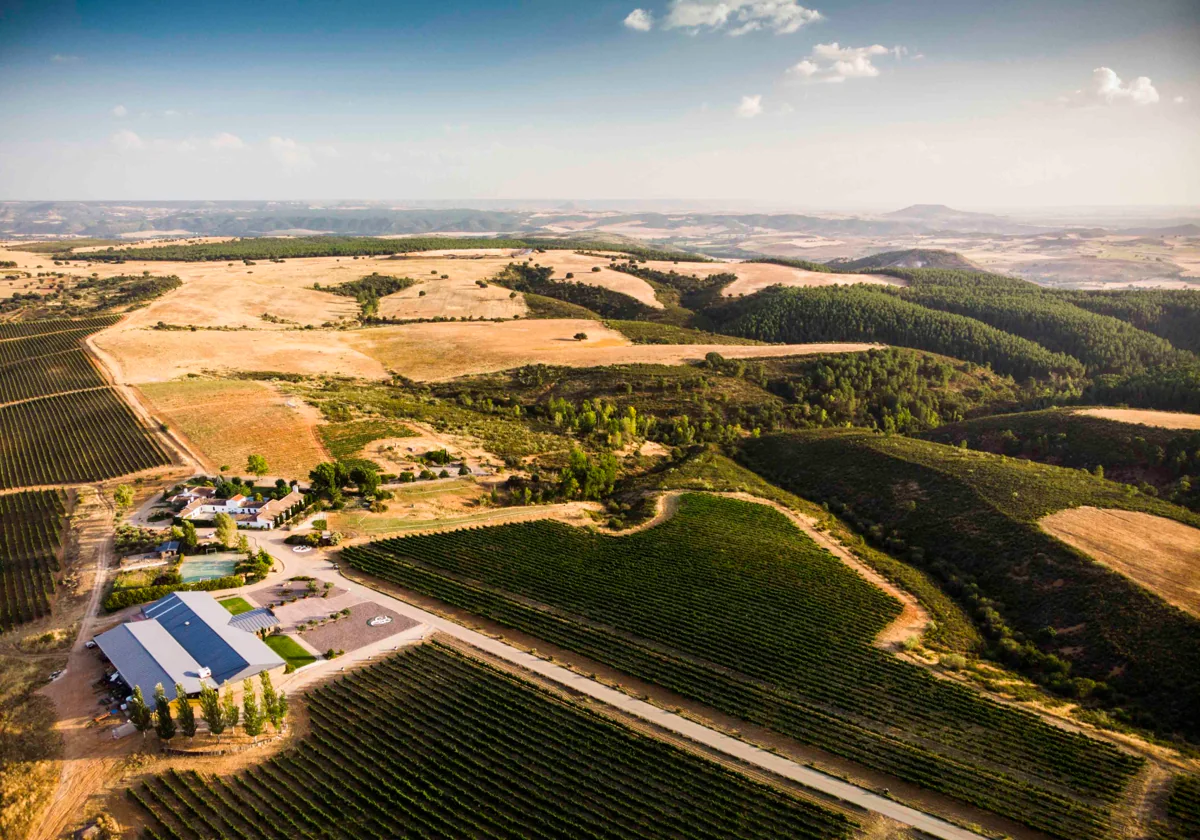 Los vinos de Finca Río Negro de 1.000 metros de altura para celebrar a los padres