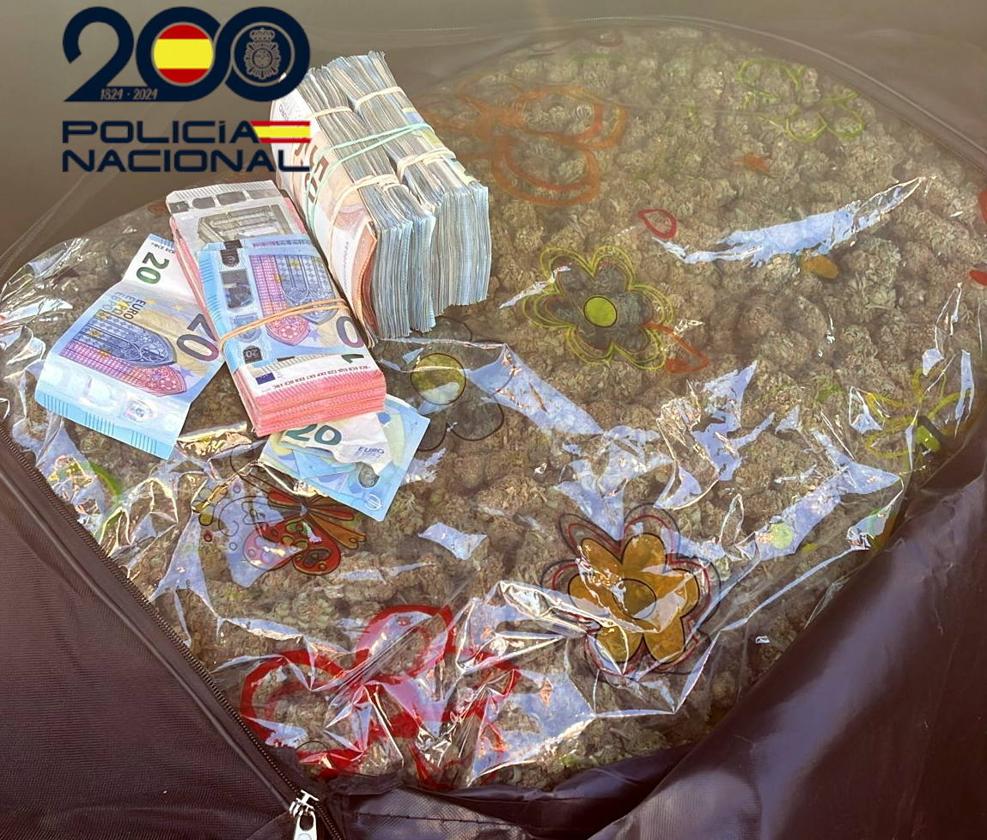 Imagen de los cogollos de marihuana y el dinero intervenidos al detenido en Benidorm