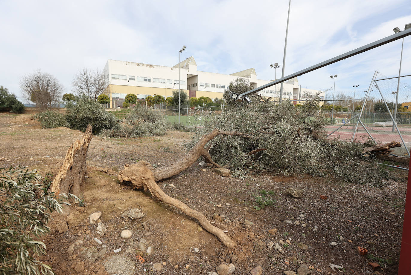 Fotos: en imágenes, los destrozos del tornado en las instalaciones de Ucodeporte en Córdoba