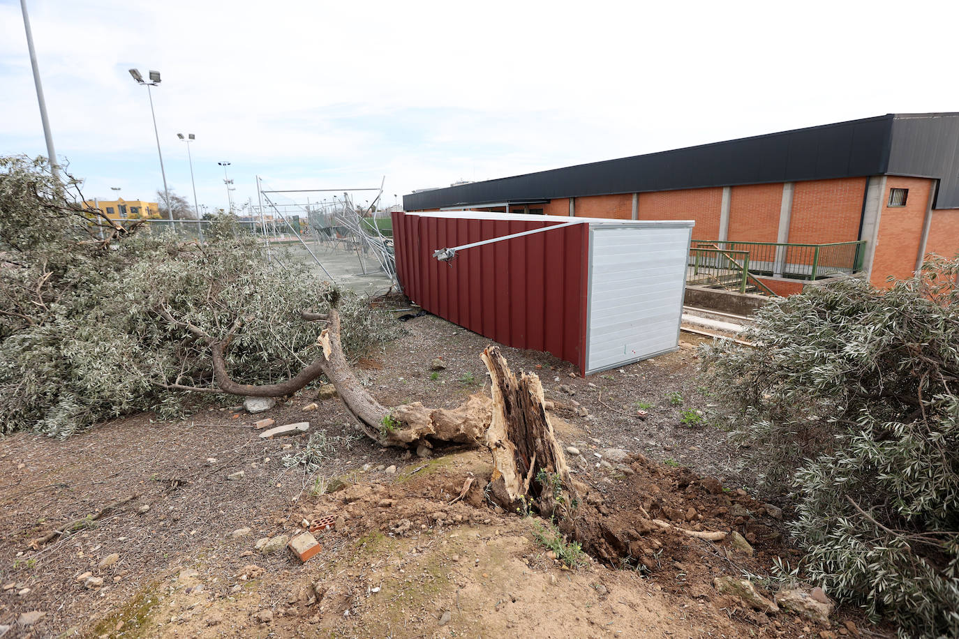 Fotos: en imágenes, los destrozos del tornado en las instalaciones de Ucodeporte en Córdoba