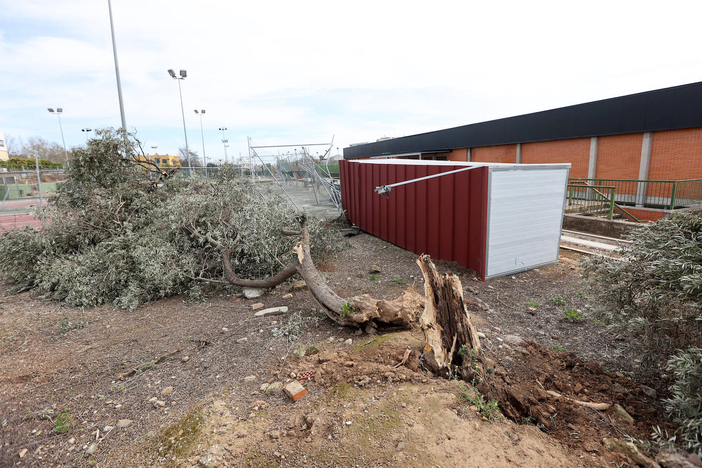 Fotos: en imágenes, los destrozos del tornado en las instalaciones de Ucodeporte en Córdoba