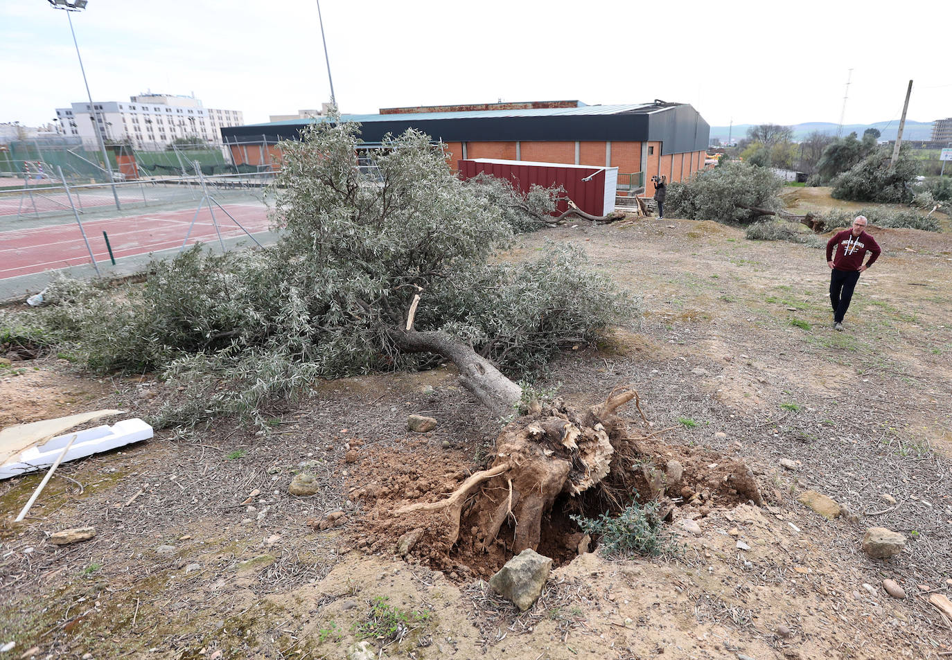 Fotos: en imágenes, los destrozos del tornado en las instalaciones de Ucodeporte en Córdoba