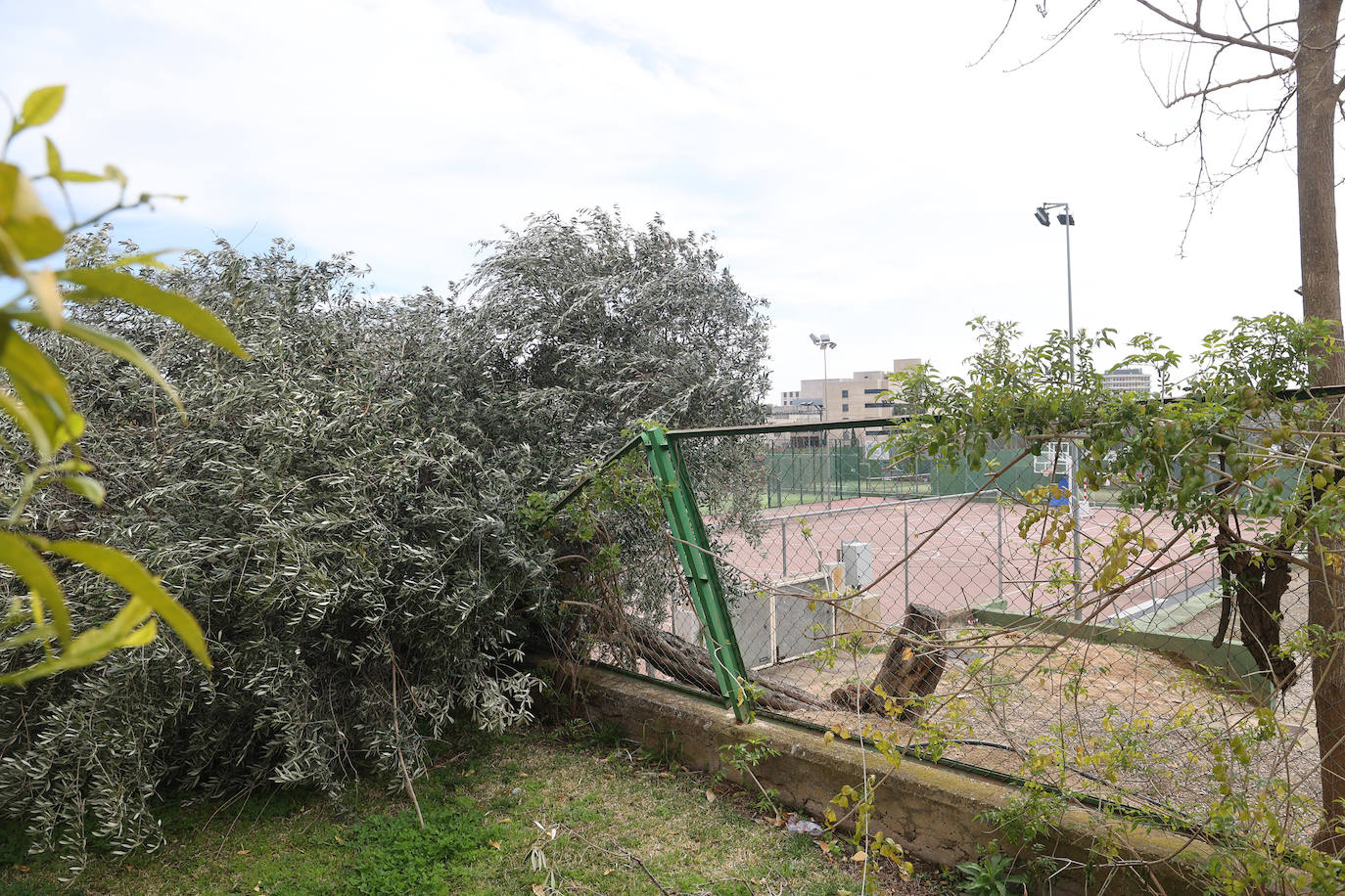 Fotos: en imágenes, los destrozos del tornado en las instalaciones de Ucodeporte en Córdoba