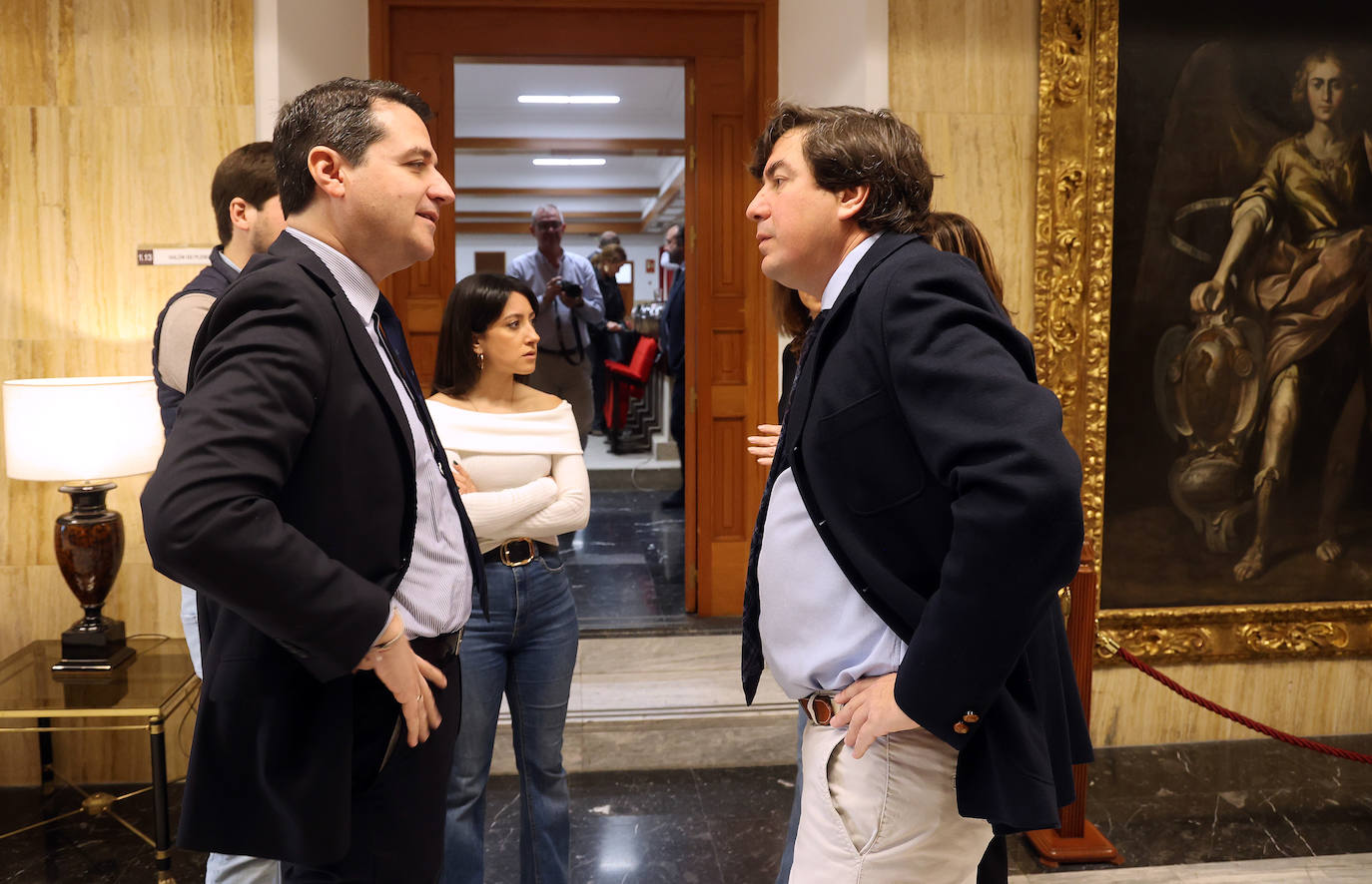 Fotos: el Pleno del Ayuntamiento de Córdoba