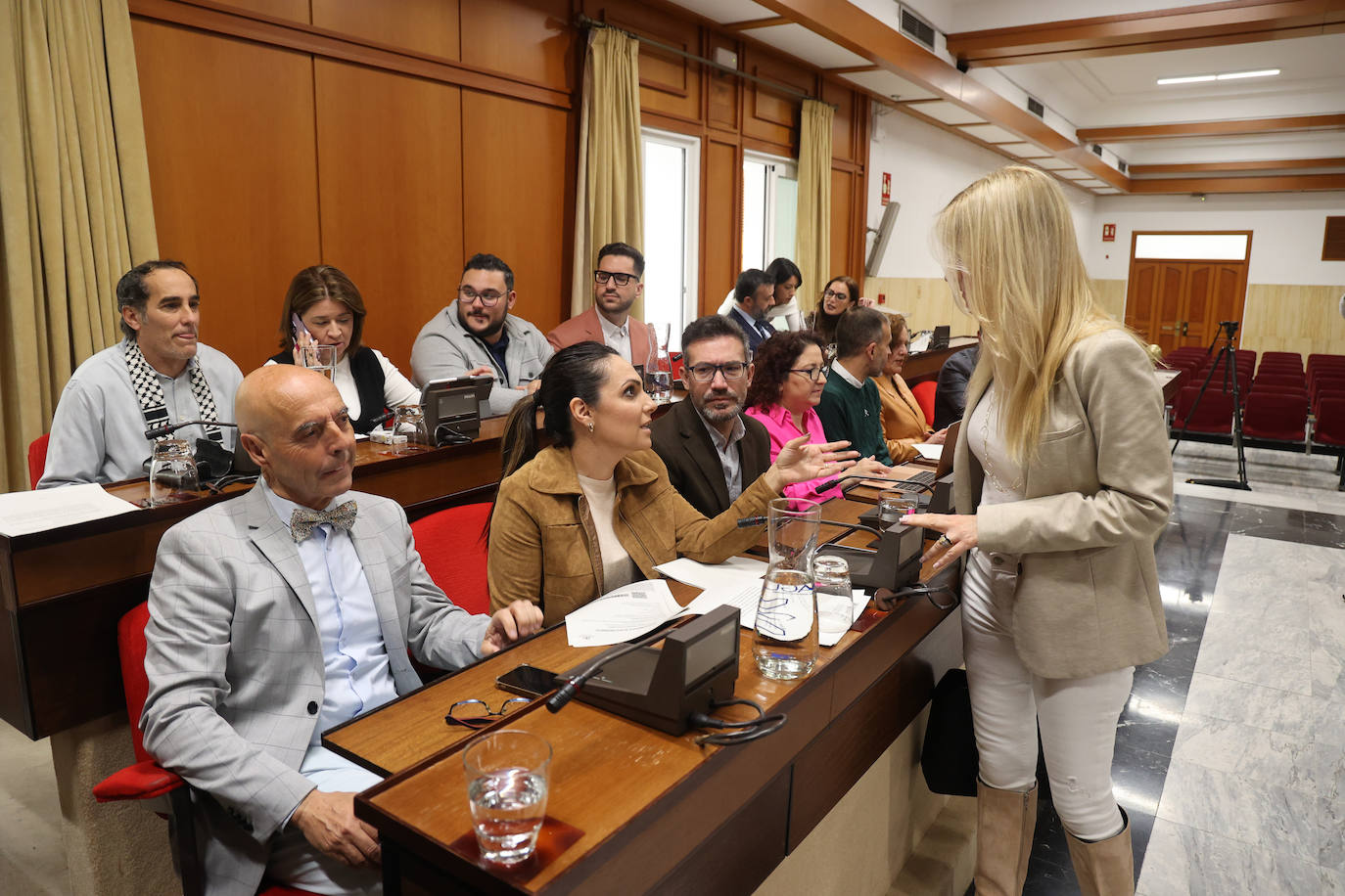 Fotos: el Pleno del Ayuntamiento de Córdoba