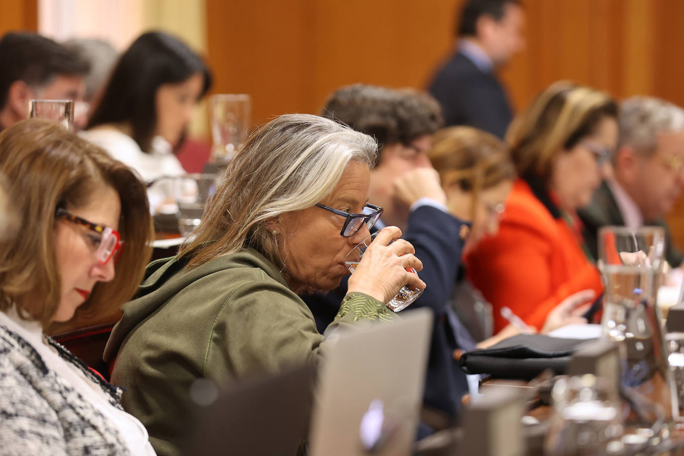 Fotos: el Pleno del Ayuntamiento de Córdoba