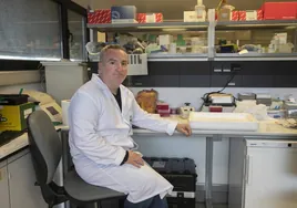El Imibic estudiará en Córdoba nuevos tratamientos para un tumor cerebral raro