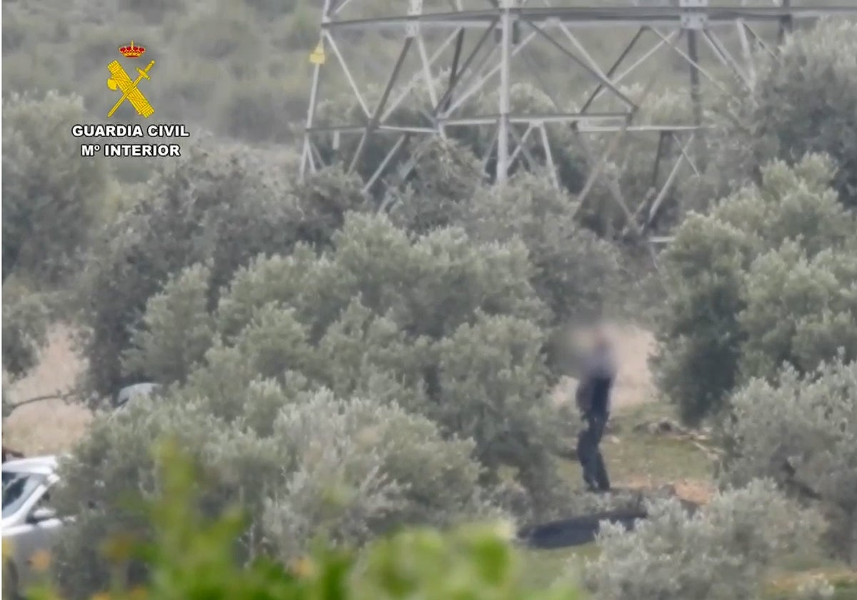 Los detenidos captados en pleno robo de aceitunas en el campo madrileño