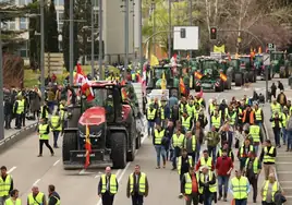 El campo de Castilla y León toma Valladolid en «unidad»: «Es la lucha de todos»