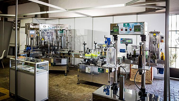 Balam, Todolivo, JAR... Estas son las empresas confirmadas en la Feria del Olivo de Montoro