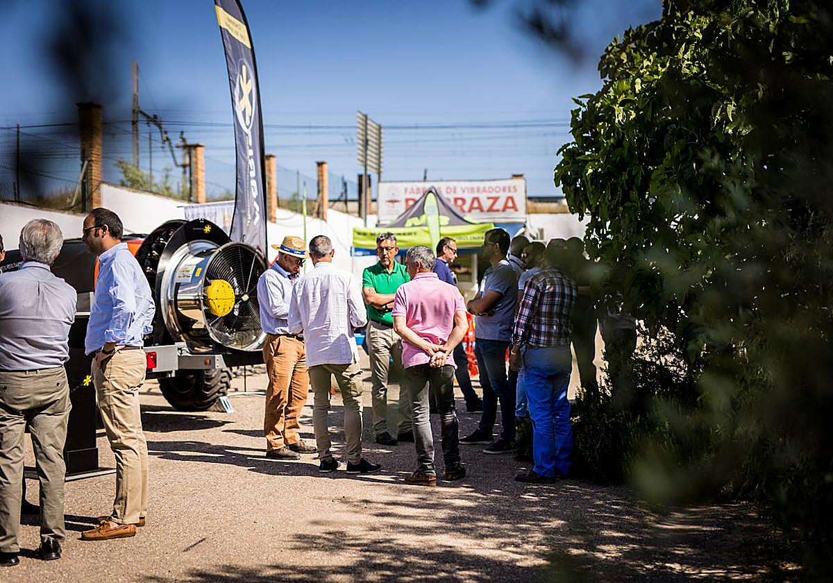 Imagen de archivo de la Feria del Olivo de Montoro
