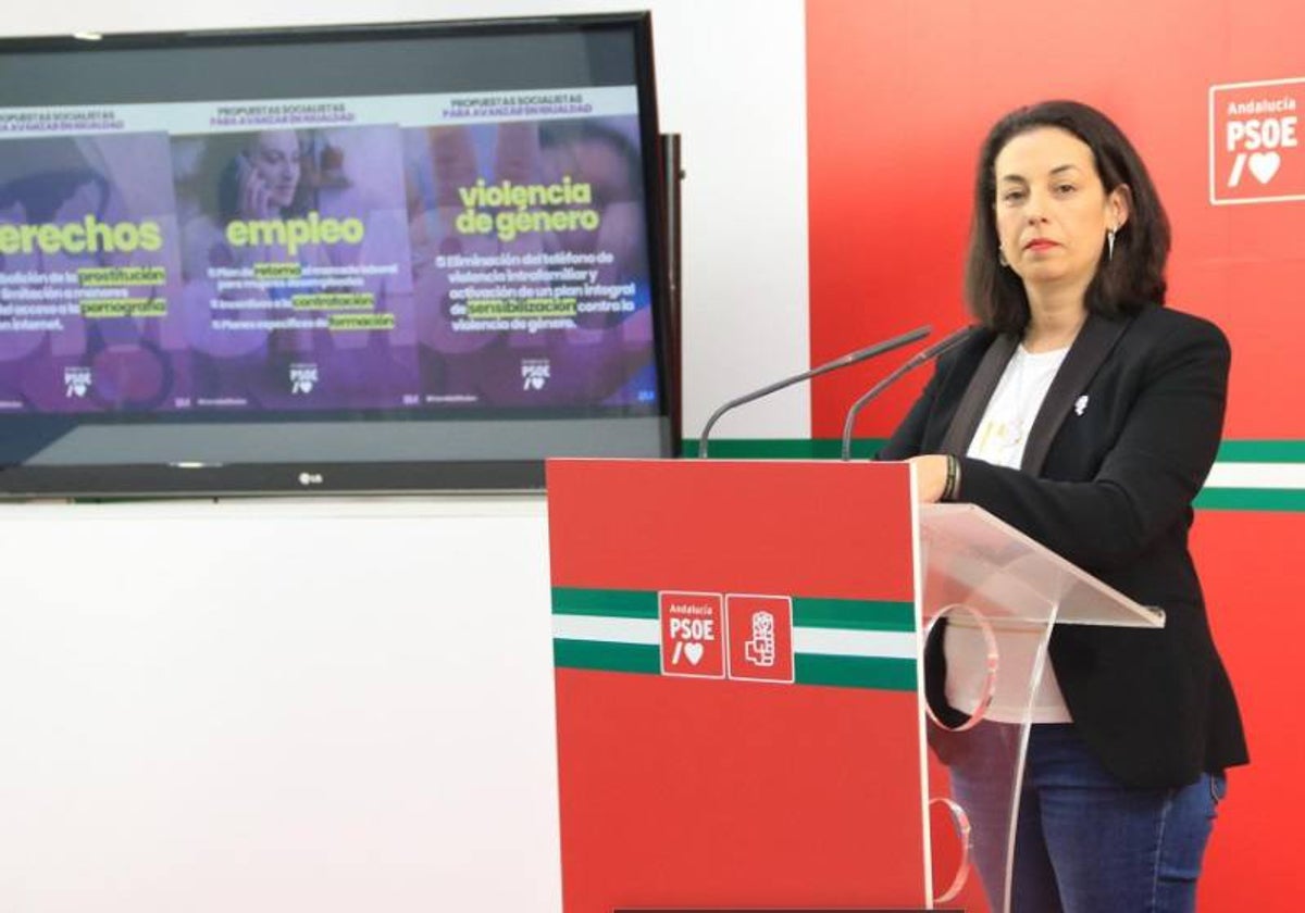La parlamentaria del PSOE-A Mercedes Gámez, en rueda de prensa