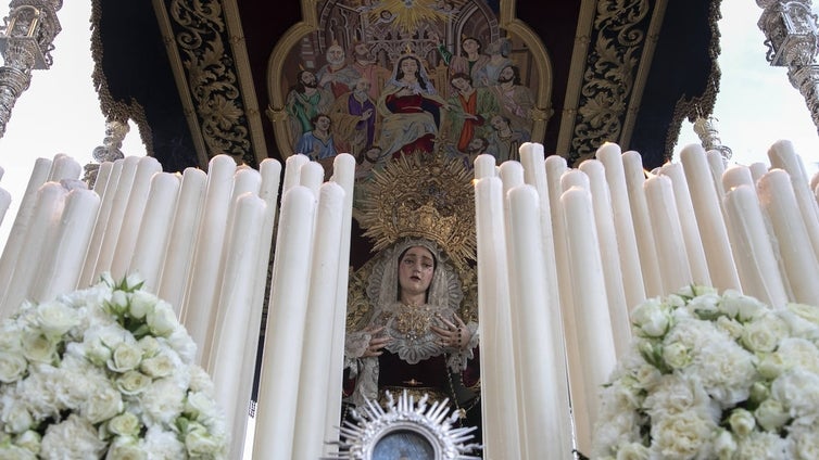 Hermandades del Domingo de Ramos de Córdoba