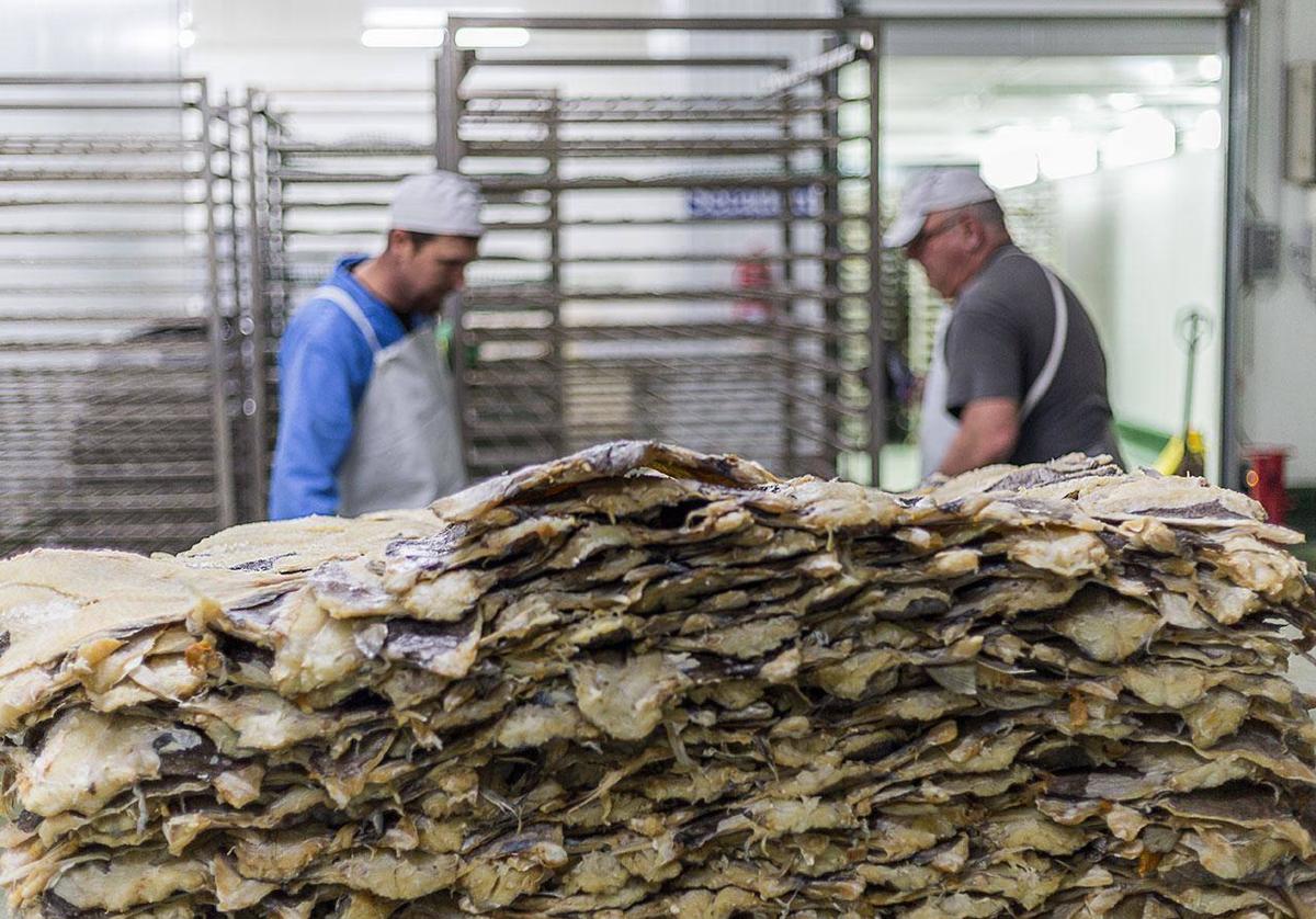 Trabajadores en la empresa Albacor