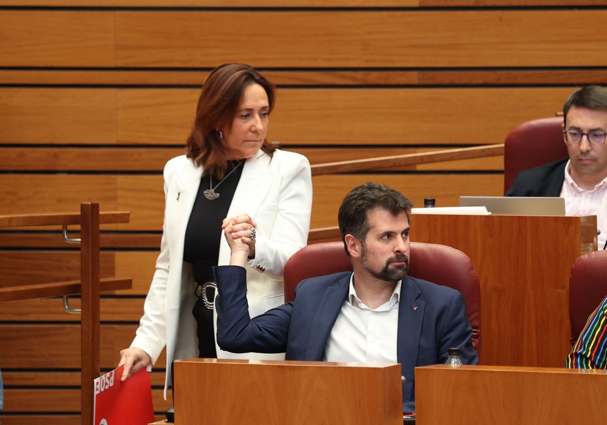 Luis Tudanda anima a su compañera del Grupo Socialista Rosa Rubio, de camino a la tribuna de oradores para intervenir en el pleno de las Cortes de Castilla y León