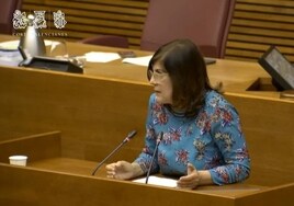 Hablamos Español reclama a la Generalitat Valenciana que la nueva ley educativa garantice la lengua materna en materias troncales