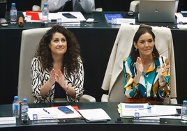 La unanimidad en la Asamblea se rompe en Cibeles: el PSOE rechaza la declaración a favor de la libertad de prensa