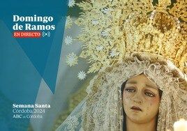 Sigue aquí en directo TV a las cofradías del Domingo de Ramos por la Catedral de Córdoba