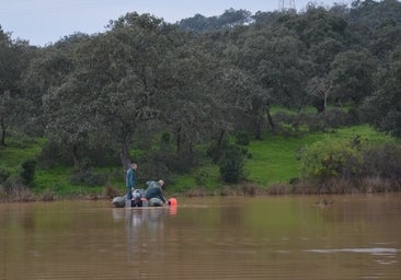 Maniobra letal en Cerro Muriano: la verdad que flota en un lago