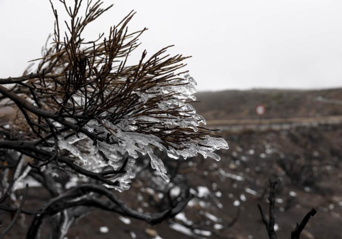 Primera nevada del año en el Teide, donde no nevó este invierno por primera vez en 108 años