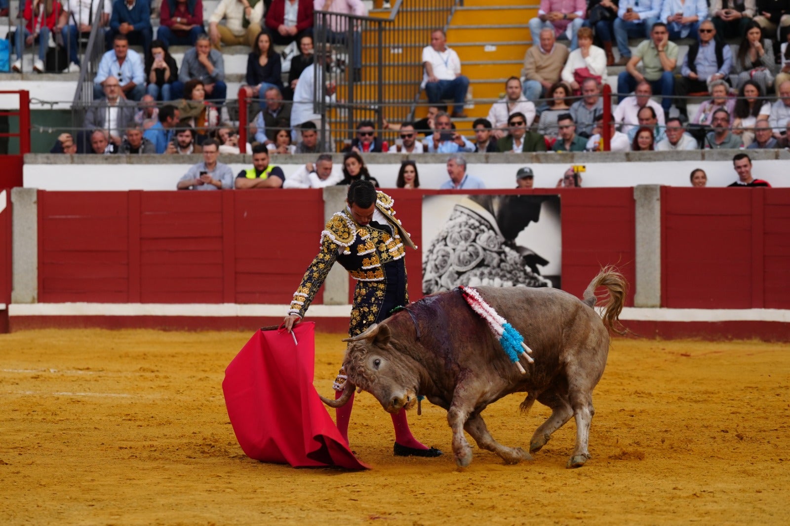 Fotos: pletórica tarde de toros en Pozoblanco con un Roca Rey superior