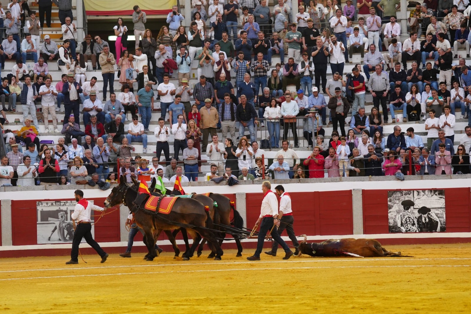 Fotos: pletórica tarde de toros en Pozoblanco con un Roca Rey superior