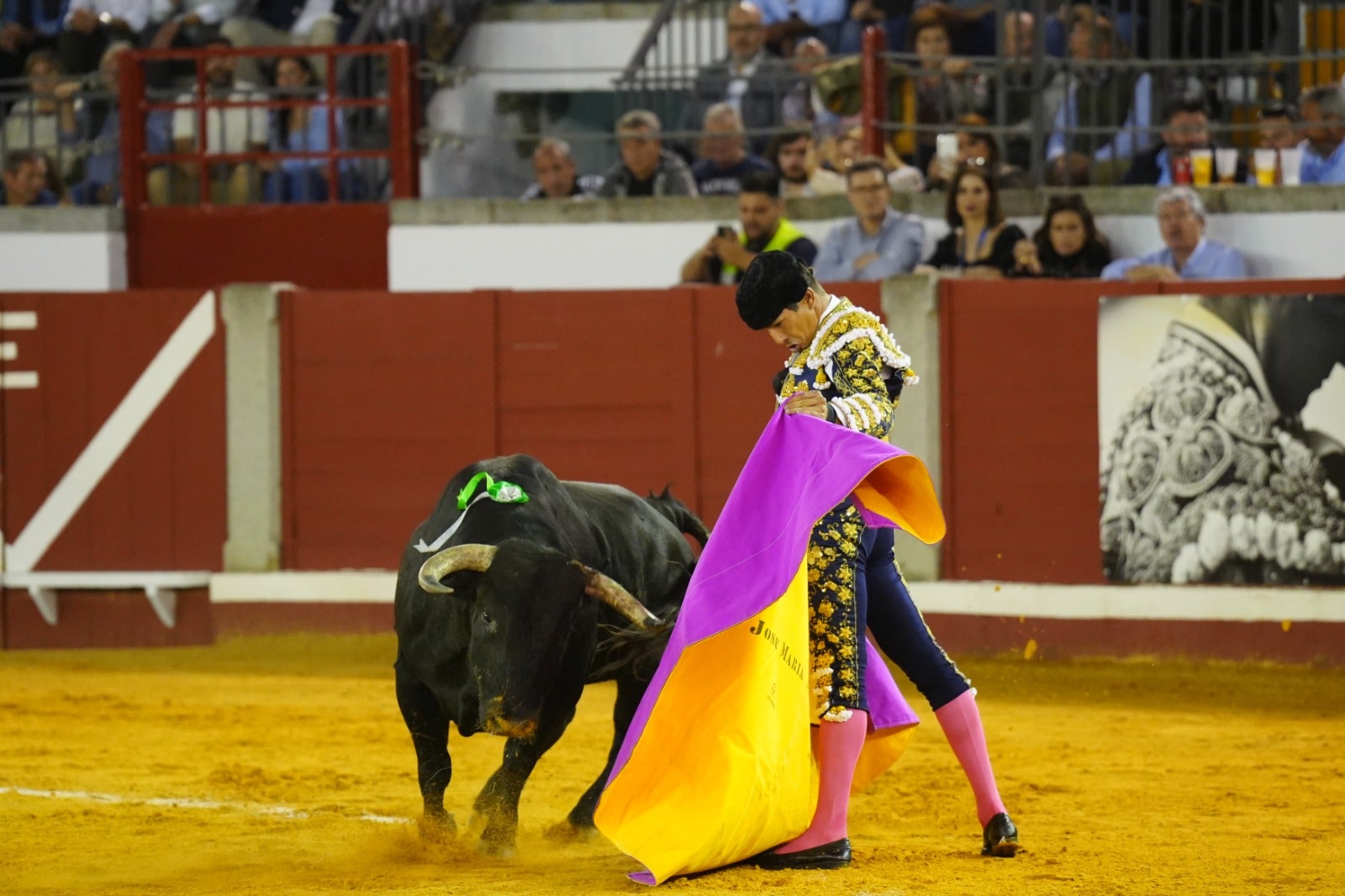 Fotos: pletórica tarde de toros en Pozoblanco con un Roca Rey superior