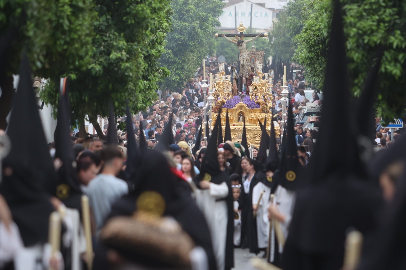 Las imágenes de la hermandad del Amor de la Semana Santa de Córdoba 2024