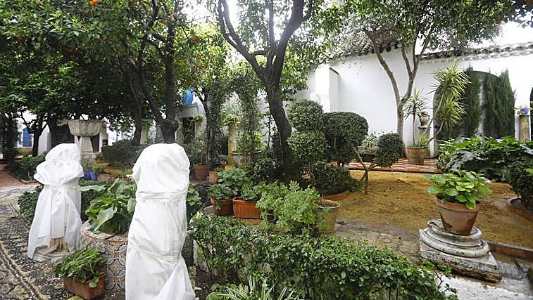Patio que da acceso a la casa y a los museos de Bellas Artes y de Julio Romero