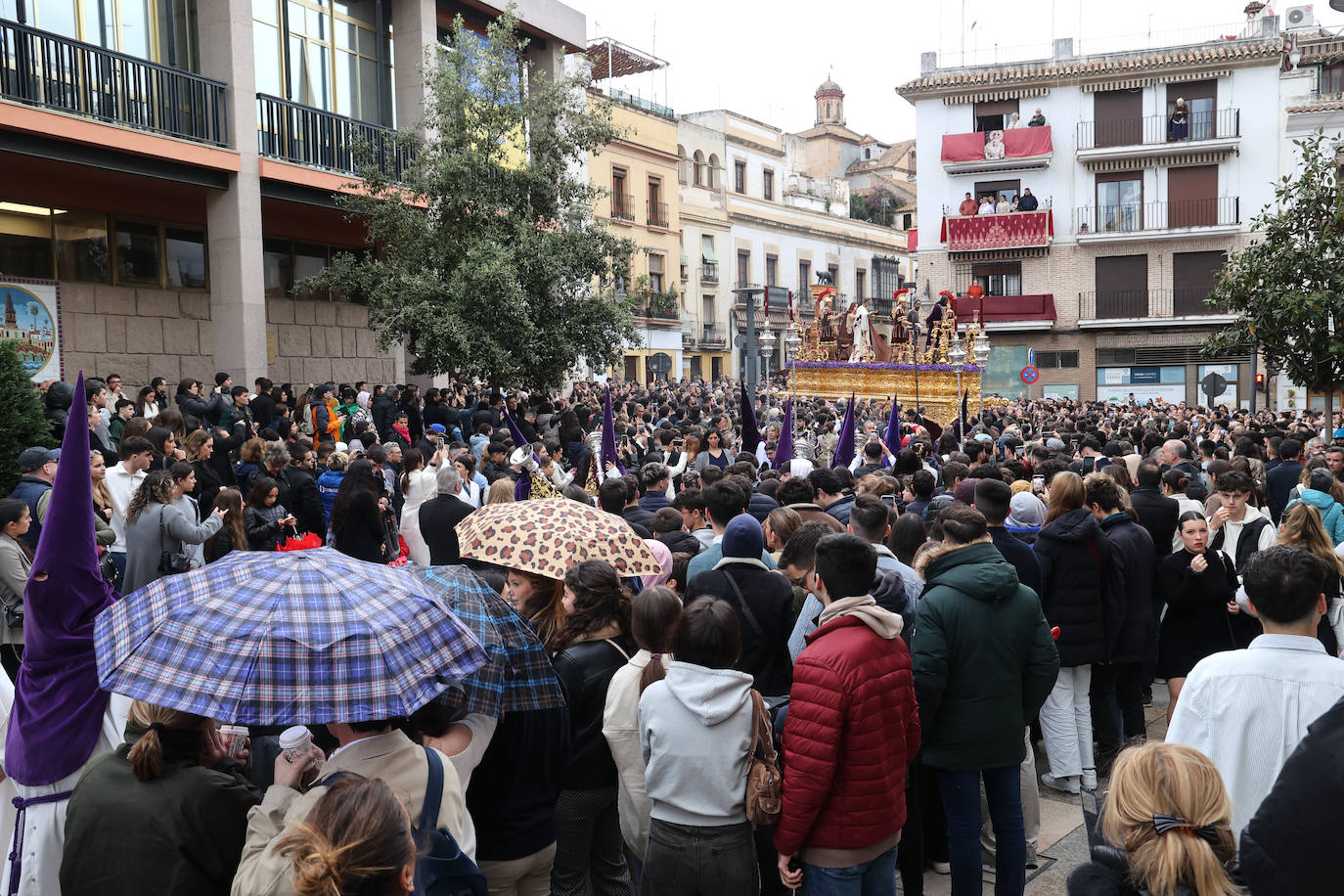 Las imágenes de la hermandad de la Sangre de la Semana Santa de Córdoba 2024