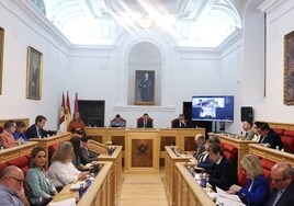 El pleno insta al Ministerio de Transportes a mejorar la estación de tren de Toledo