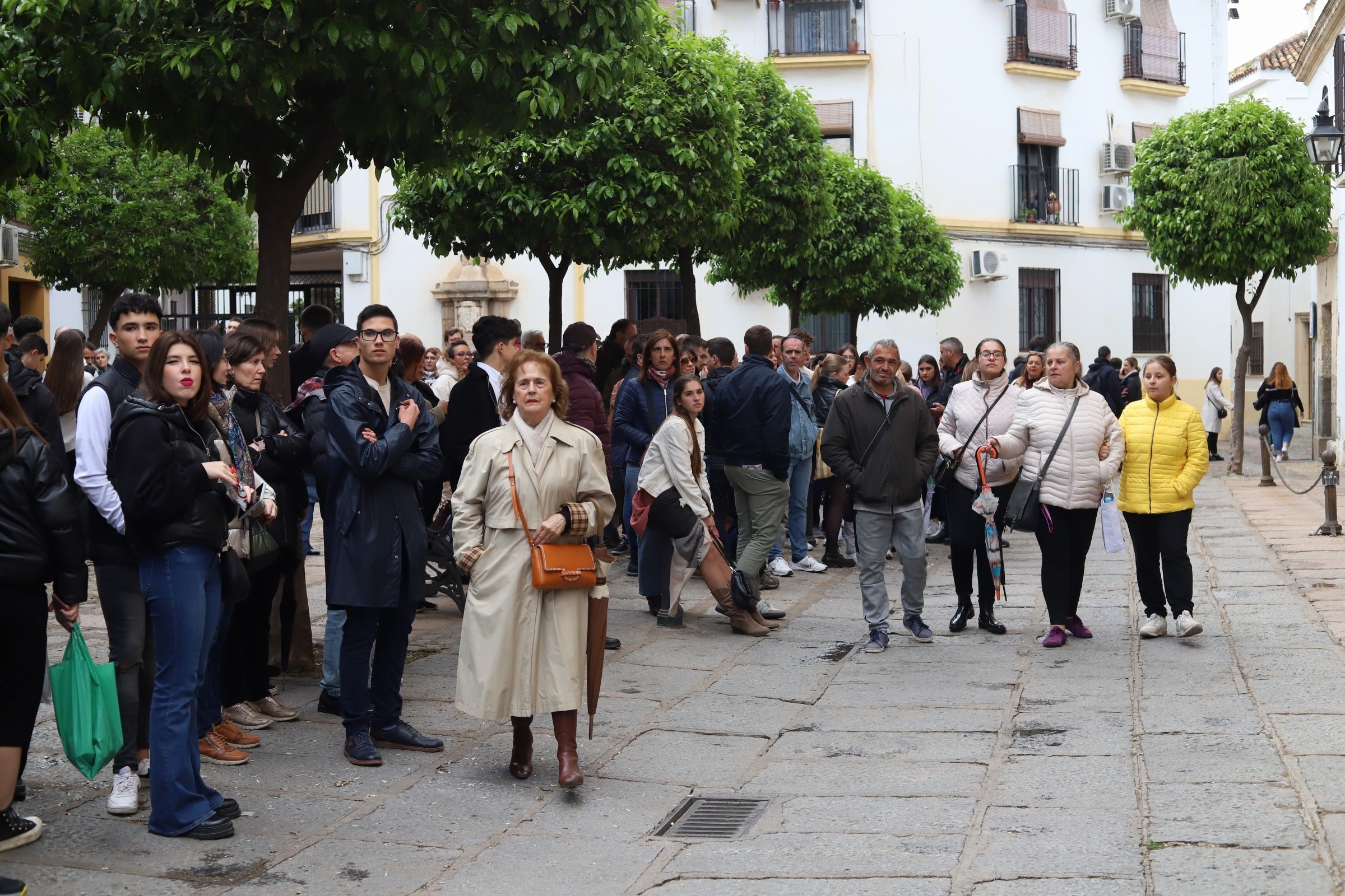 Las imágenes de la hermandad Universitaria de la Semana Santa de Córdoba 2024
