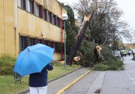 El tiempo en Córdoba: alerta amarilla este miércoles en la Sierra y Pedroches por fuertes vientos