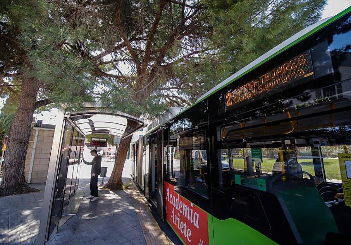 Parada de Aucorsa en el Paseo de Colón de la capital cordobesa