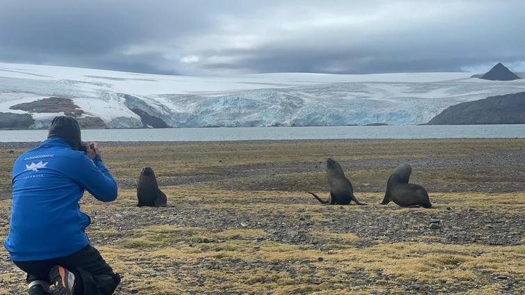 El Oceanogràfic de Valencia participa en una investigación científica en la Antártida sobre la adaptación de los mamíferos marinos al cambio climático