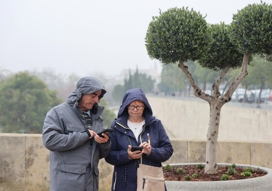 Dos visitantes consultan su móvil en el puente de El Arenal