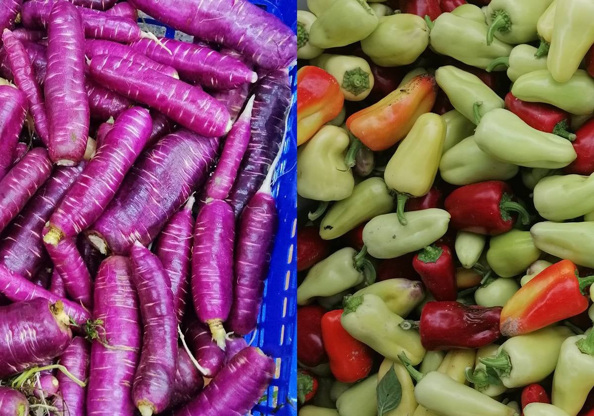 Imagen de zanahorias moradas y pimientos blancos