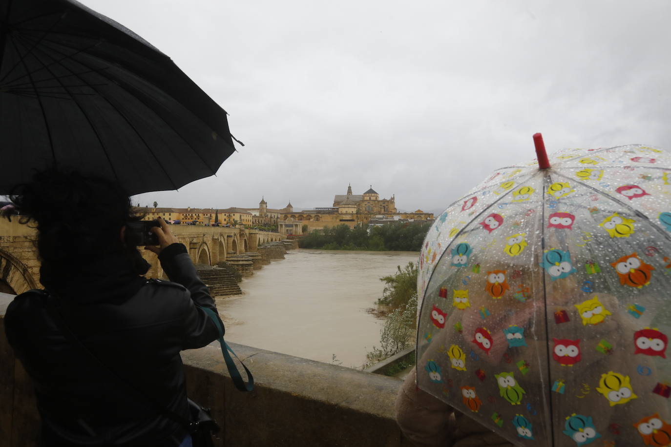 Fotos: la gran crecida del Guadalquivir a su paso por Córdoba