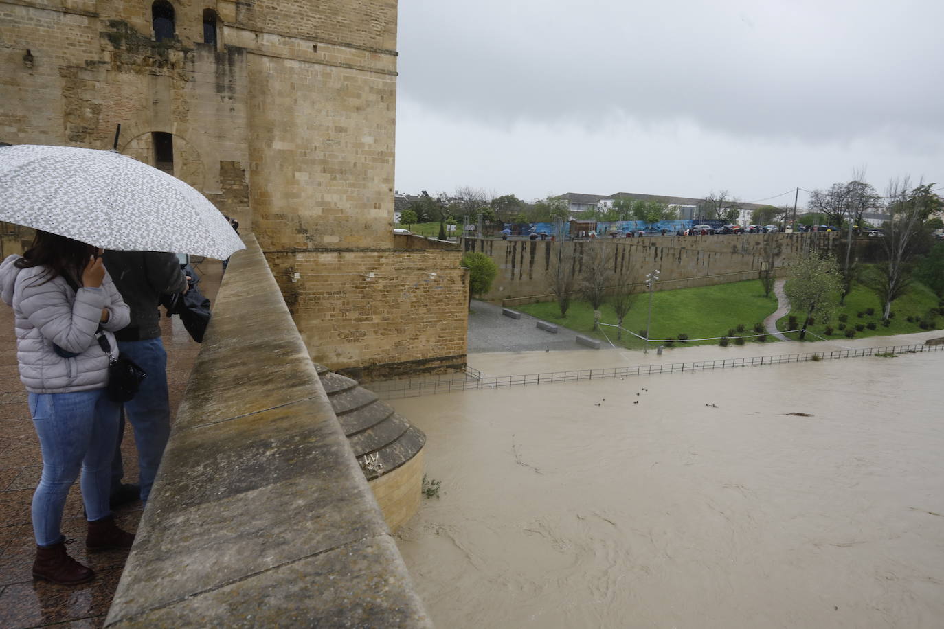 Fotos: la gran crecida del Guadalquivir a su paso por Córdoba
