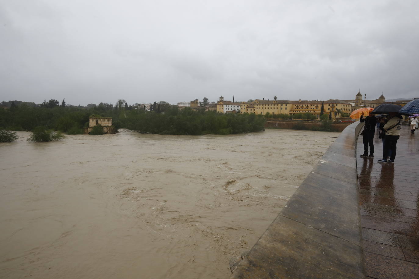 Fotos: la gran crecida del Guadalquivir a su paso por Córdoba