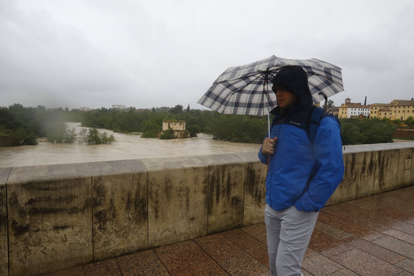 Fotos: la gran crecida del Guadalquivir a su paso por Córdoba
