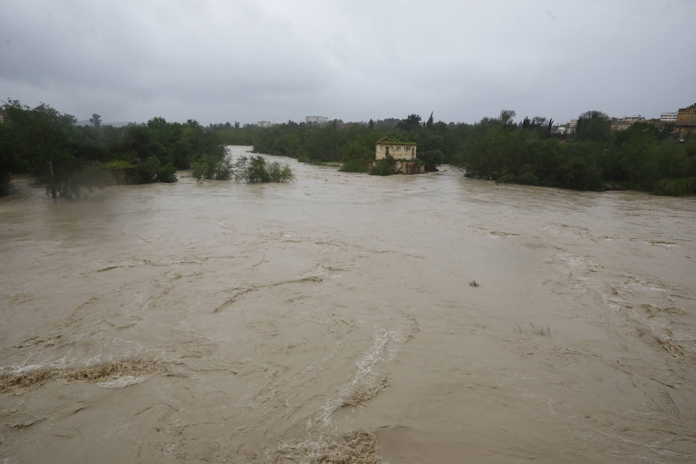 Fotos: la gran crecida del Guadalquivir a su paso por Córdoba