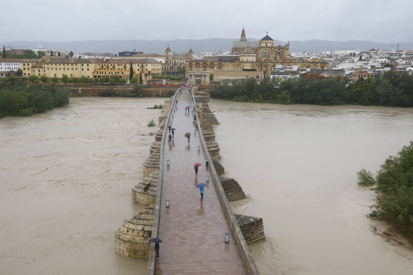 Fotos: la gran crecida del Guadalquivir a su paso por Córdoba