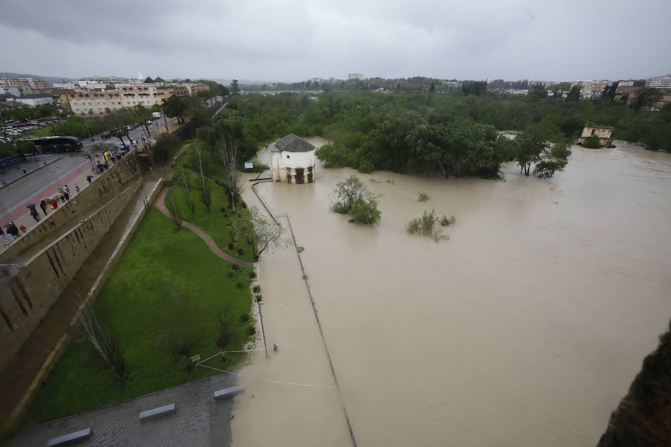 Fotos: la gran crecida del Guadalquivir a su paso por Córdoba