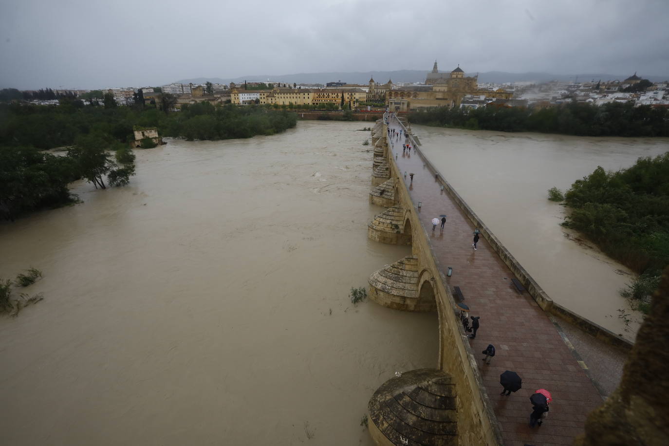 Fotos: la gran crecida del Guadalquivir a su paso por Córdoba